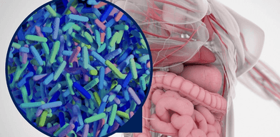 Microbiomul și rolul său în patologia metabolică